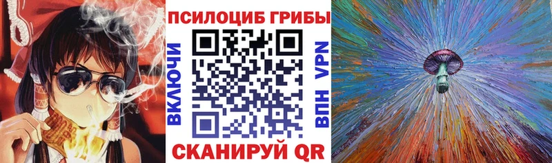 Псилоцибиновые грибы Psilocybine cubensis  MEGA как зайти  Лихославль 